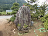 秩父銘石と赤松の付け石の写真