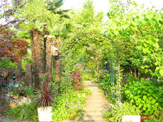 庭園（造園）の写真