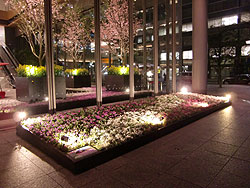 丸ビル ミニチュア版芝桜の丘の写真１