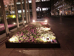 丸ビル ミニチュア版芝桜の丘の写真2
